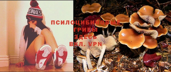 спиды Алексин