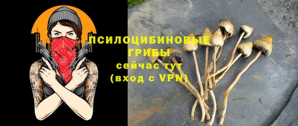 гидропоника Алзамай